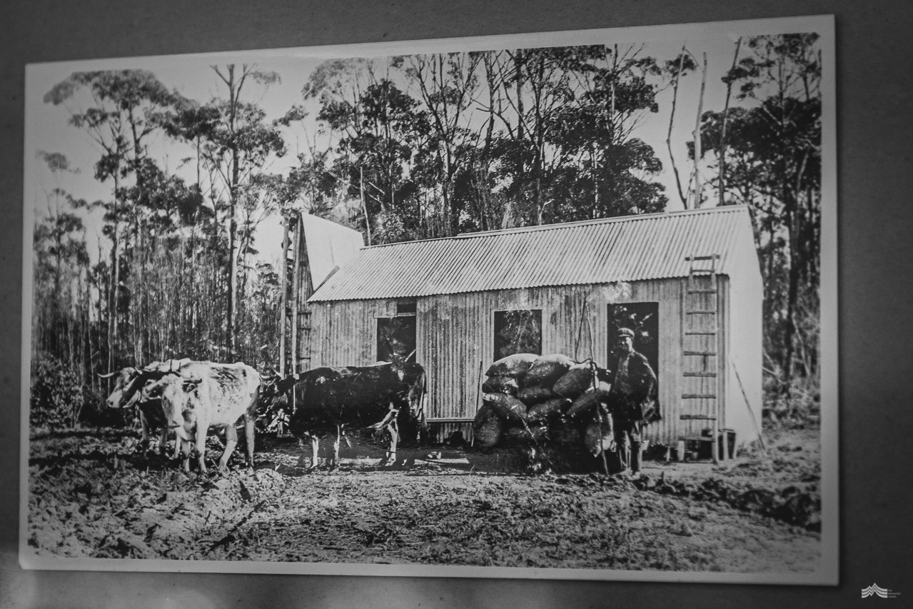 Original hut built by Daniel Bowman on Flinders Island